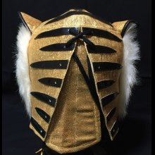 他の写真3: レア！四代目 タイガーマスク　試合用マスク　ロペス製